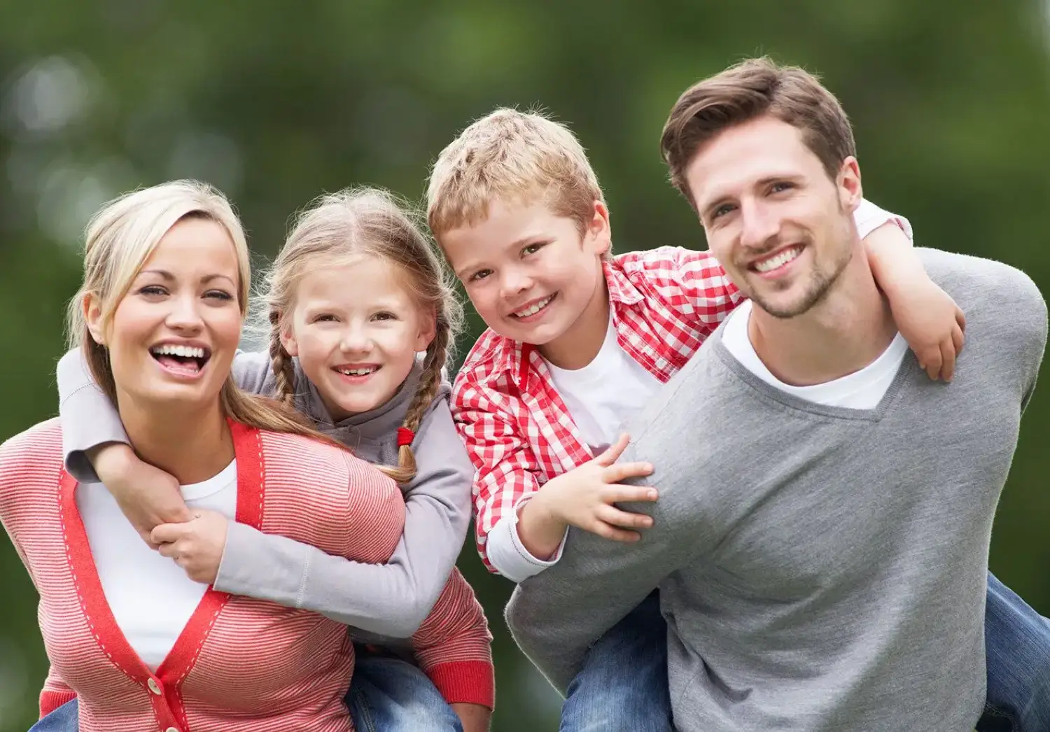 Image illustrant les services proposés